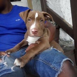 Meet your Posher, Jesse